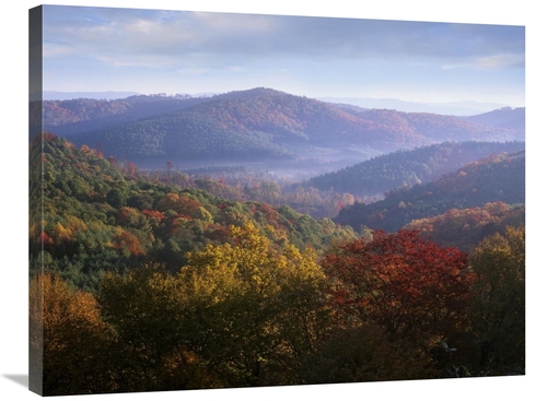 Global Gallery GCS-452273-2432-142 24 x 32 in. Autumn Deciduous Forest