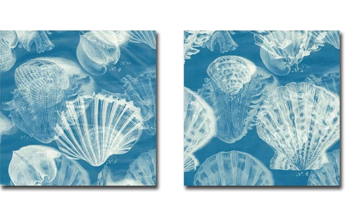 Artistic Home Gallery 1212X743EG Shell Blueprint 1 & 2 by John Butler 