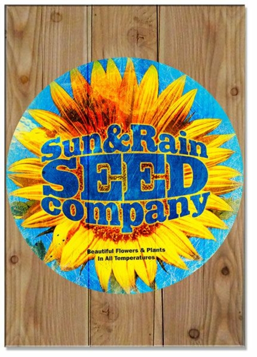 Past Time Signs PTSW143 14 x 20 in. Sun Rain Sunflower Sign