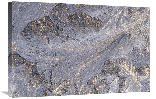Global Gallery GCS-395751-2030-142 20 x 30 in. Frost Crystal Formation