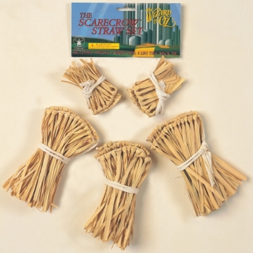 Rubies Costumes 138721 Wizard Of Oz Straw Kit