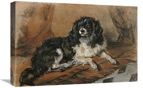 Global Gallery GCS-266720-22-142 22 in. A King Charles Spaniel Art Pri