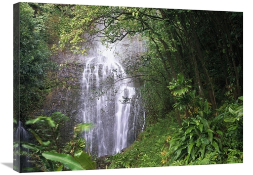 Global Gallery GCS-396122-2432-142 24 x 32 in. Waterfall Along Hana Co