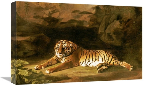Global Gallery GCS-267362-22-142 22 in. Portrait of the Royal Tiger Ar