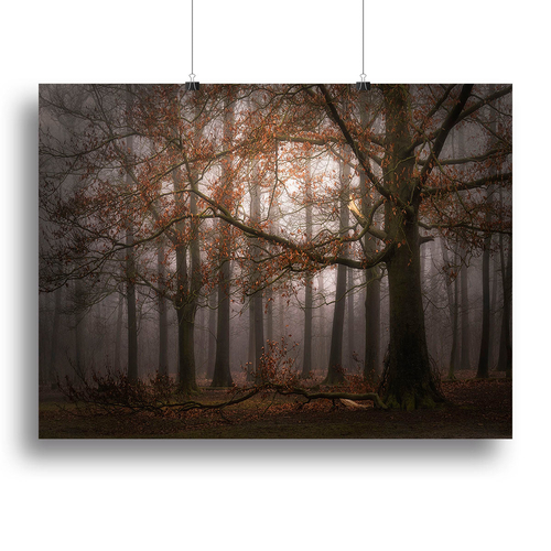 Foggy MemoryOf The Past Canvas Print or Poster