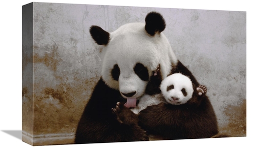 Global Gallery GCS-453019-1218-142 12 x 18 in. Gongzhu & Her Young Cub