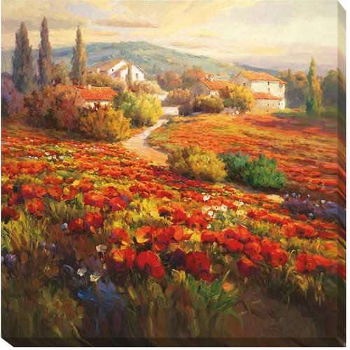 Artistic Home Gallery 3030A517EG Poppy Fields by Roberto Lombardi Prem