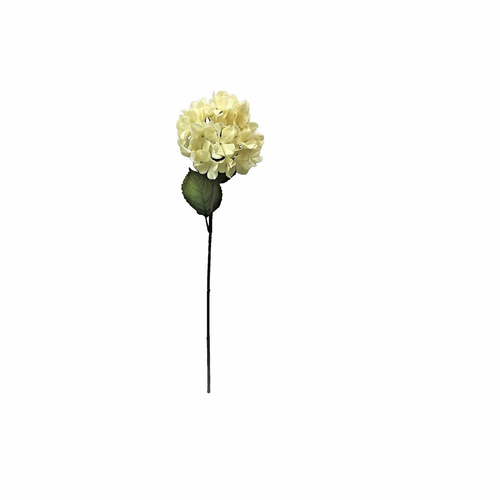 Vickerman FM181904 27 in. Mustard Hydrangea Stem 