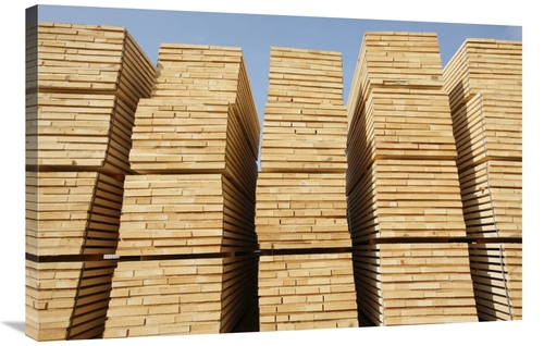 Global Gallery GCS-398104-2436-142 24 x 36 in. Logged Timber From the 