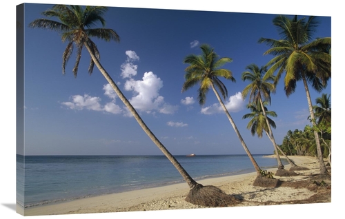 Global Gallery GCS-452419-2436-142 24 x 36 in. Coconut Palm Trees & Be