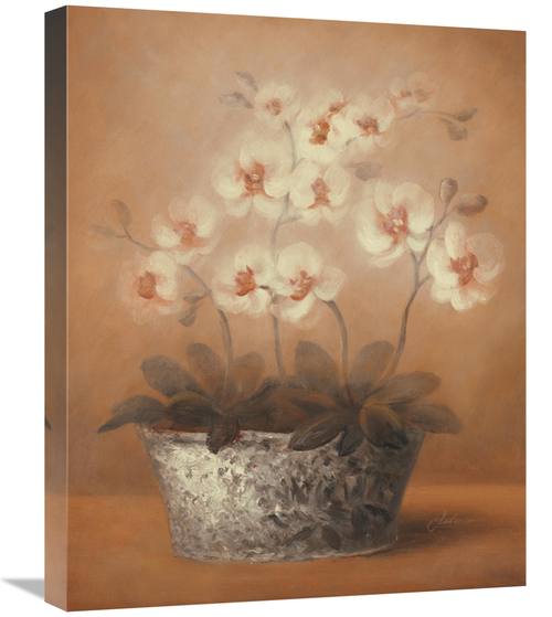 Global Gallery GCS-128583-2024-142 20 x 24 in. Gillian Art Print - Che