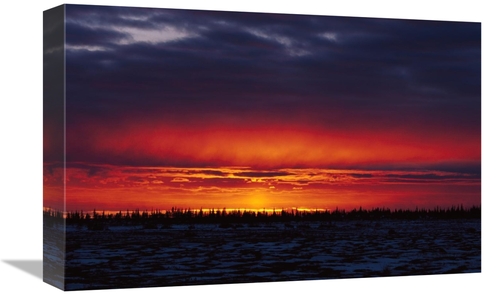 Global Gallery GCS-452497-1218-142 12 x 18 in. Sunset Over Boreal Fore
