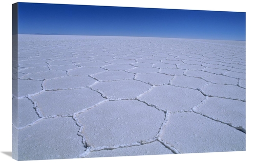 Global Gallery GCS-453527-2436-142 24 x 36 in. Hexagonal Crystallizati