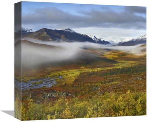 Global Gallery GCS-396904-16-142 16 in. Fog Over Tundra, Tombstone