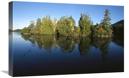 Global Gallery GCS-450837-1624-142 16 x 24 in. Clayoquot Sound, Va