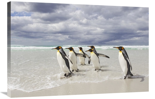 Global Gallery GCS-395362-2436-142 24 x 36 in. King Penguin Group on B