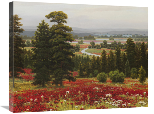 Global Gallery GCS-132470-2228-142 22 x 28 in. Blooms Above the Valley