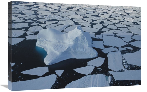 Global Gallery GCS-453428-2030-142 20 x 30 in. Iceberg Drifting Among 