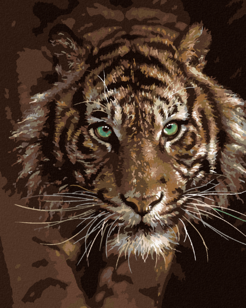 Zuty - Paint by Numbers â€“ TIGER'S GAZE (COLLIN BOGLE), 40x50 cm