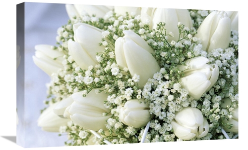 Global Gallery GCS-398274-1624-142 16 x 24 in. Bouquet of White Tulips