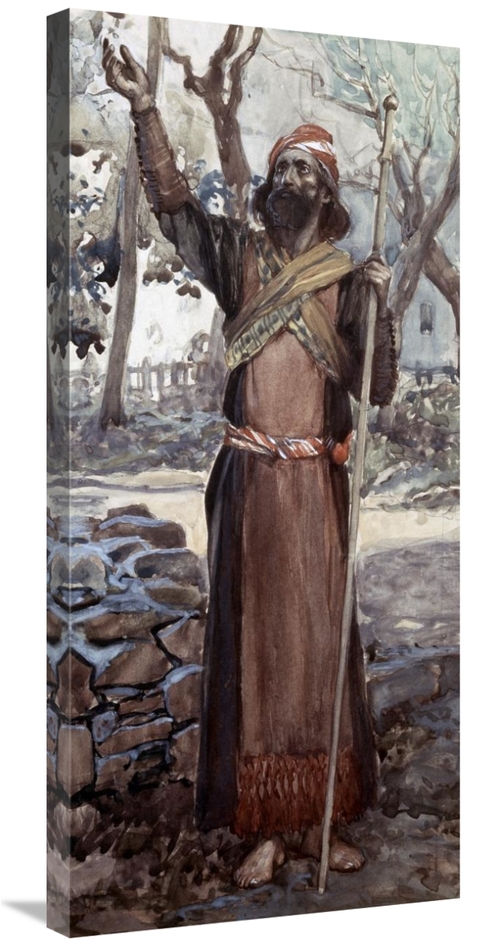 Global Gallery GCS-280564-36-142 36 in. Zechariah Art Print - James Ti