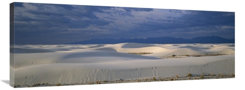 Global Gallery GCS-452623-44-142 44 in. Soaptree Yucca in Gypsum Dunes