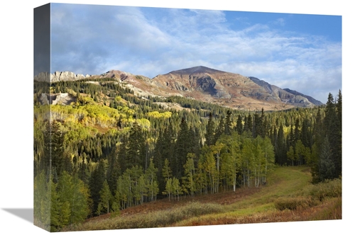 Global Gallery GCS-396087-1216-142 12 x 16 in. Ruby Peak Near Crested 