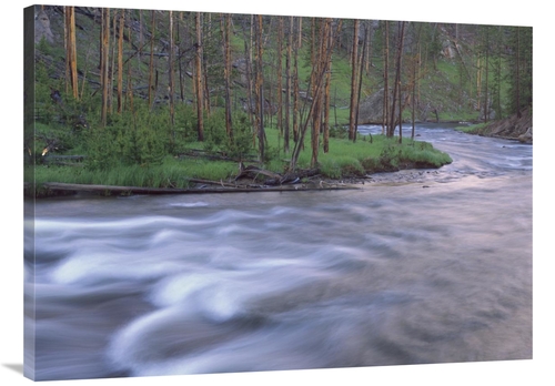Global Gallery GCS-397072-3040-142 30 x 40 in. Gibbon River Rapids Pop