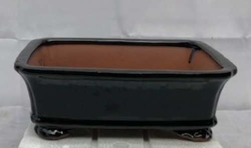 Black Ceramic Bonsai Pot - Rectangle10.25" x 8" x 3.5"