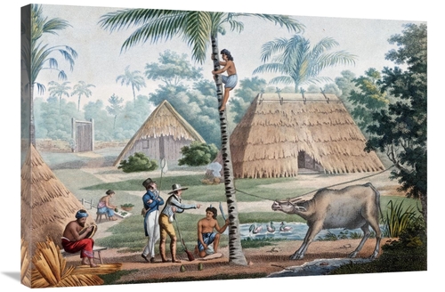 Global Gallery GCS-266167-36-142 36 in. Timor Island, Indonesia Ar