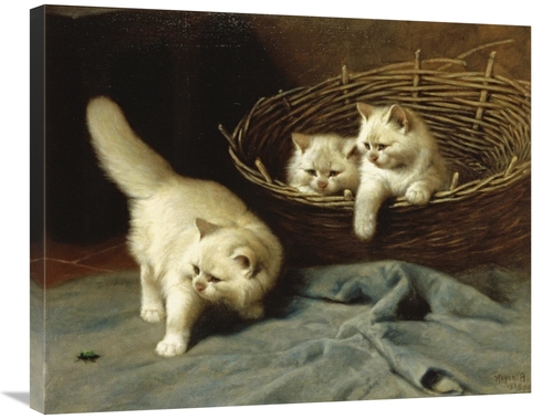 Global Gallery GCS-268097-30-142 30 in. White Angora Kittens with a Be