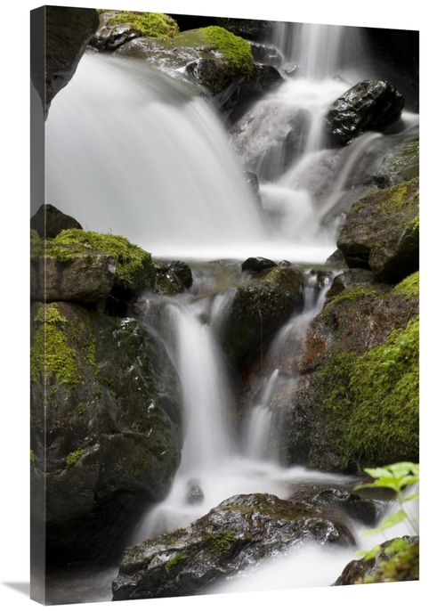 Global Gallery GCS-395440-2436-142 24 x 36 in. Cascading Creek in Temp