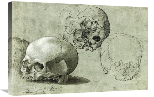 Global Gallery GCS-454967-2030-142 20 x 30 in. Study of Three Skulls A