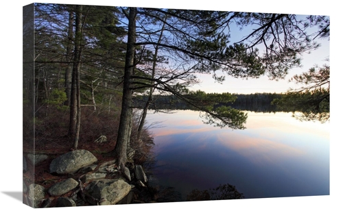 Global Gallery GCS-397611-1624-142 16 x 24 in. Forest Along Lake Shore