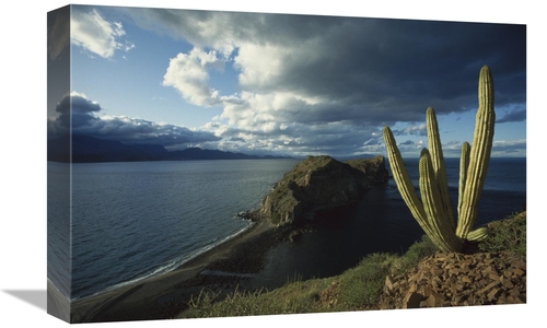 Global Gallery GCS-451710-1218-142 12 x 18 in. Danzante Island, Se