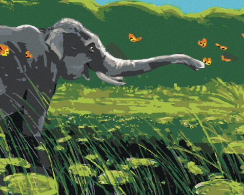 Paint by Numbers - ELEPHANT AND BUTTERFLIES