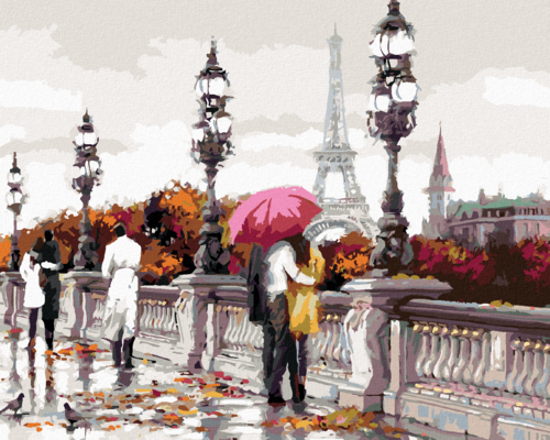 Paint by Numbers - BRIDGE IN PARIS (RICHARD MACNEIL)