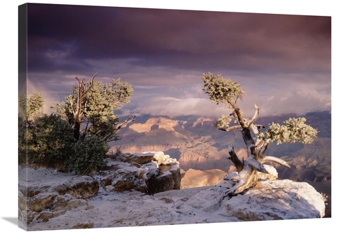 Global Gallery GCS-397053-2432-142 24 x 32 in. South Rim of Grand Cany