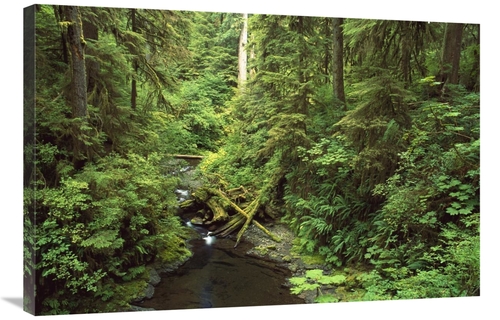 Global Gallery GCS-452841-2436-142 24 x 36 in. Wilaby Creek, Olymp