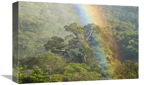 Global Gallery GCS-397318-1218-142 12 x 18 in. Rainbow Over Rainforest