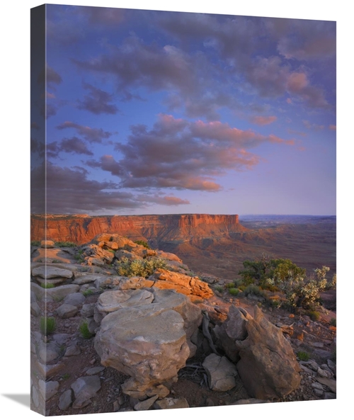 Global Gallery GCS-452094-1824-142 18 x 24 in. View From the Green Riv