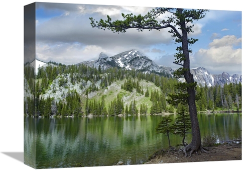 Global Gallery GCS-396176-1216-142 12 x 16 in. Pine Trees Reflected in