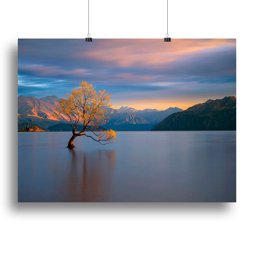 Morning Glow Canvas Print or Poster