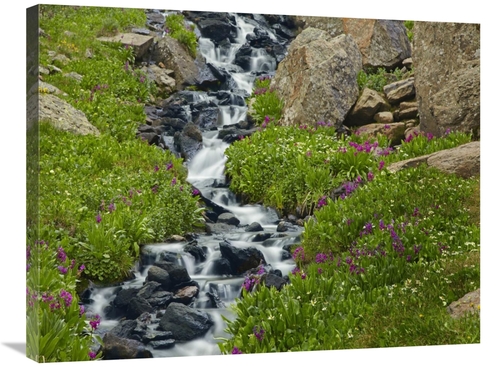 Global Gallery GCS-396111-2432-142 24 x 32 in. Porphyry Creek Near Sil