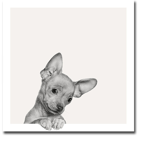 Artistic Home Gallery 1616W656IG Sweet Chihuahua by Jon Bertoli Premiu
