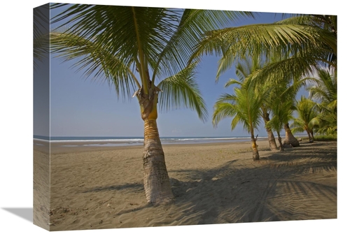 Global Gallery GCS-396205-1216-142 12 x 16 in. Playa Esterillos Este&#