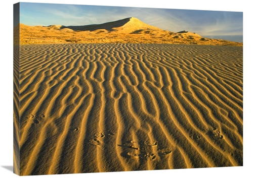 Global Gallery GCS-396673-2432-142 24 x 32 in. Wind Ripples in Kelso D