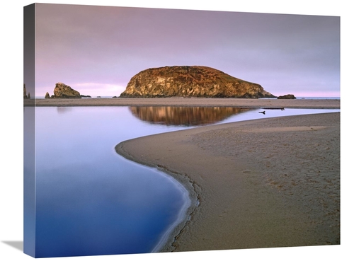 Global Gallery GCS-395991-2024-142 20 x 24 in. Harris Beach State Park