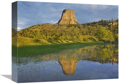 Global Gallery GCS-397170-1216-142 12 x 16 in. Devils Tower National M