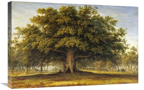 Global Gallery GCS-266397-30-142 30 in. The Beggars Oak Art Print - Jo